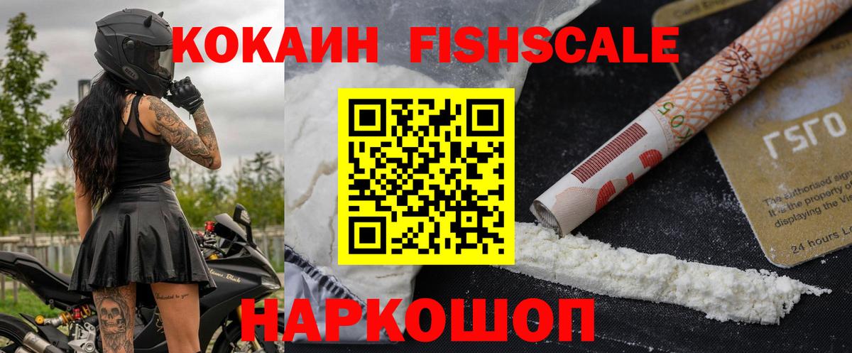COCAIN Fish Scale  магазин продажи наркотиков  COCAIN Fish Scale  Великий Устюг  Вход с VPN  COCAIN 
