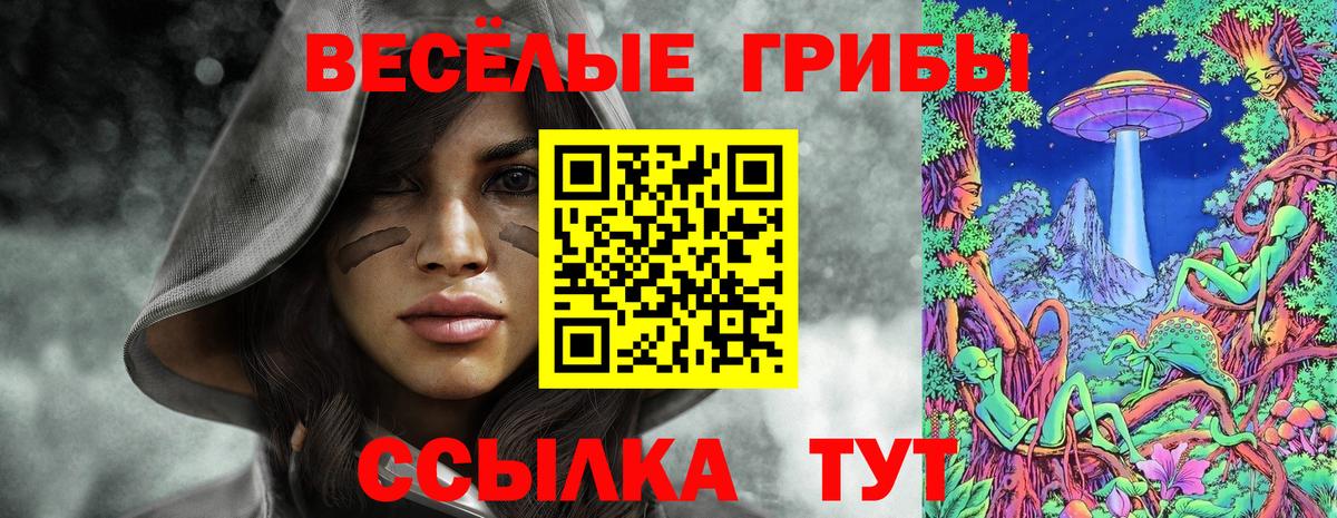 Великий Устюг  Галлюциногенные грибы GOLDEN TEACHER  Вход с VPN  закладки  Псилоцибиновые грибы Psilocybine cubensis 